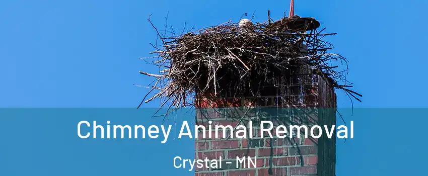  Chimney Animal Removal Crystal - MN