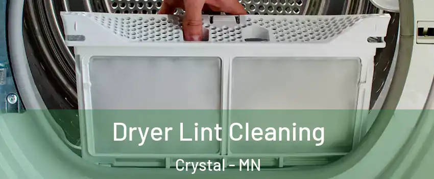  Dryer Lint Cleaning Crystal - MN