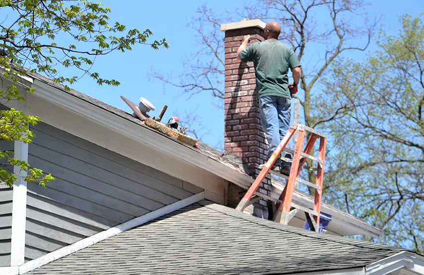 Chimney & Fireplace Inspections Services in Crystal, MN