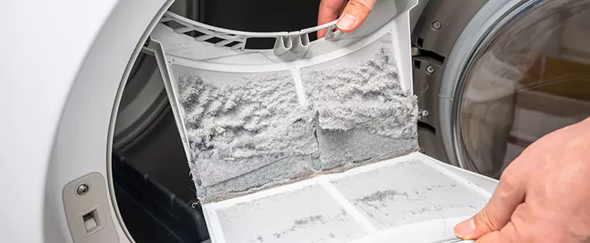 Best Dryer Lint Removal Company in Crystal, Minnesota