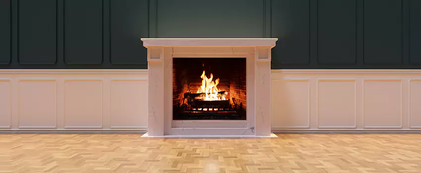 Napoleon Electric Fireplaces Inspection Service in Crystal, Minnesota