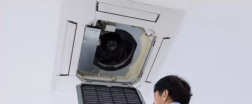 Benefits of Professional Air Duct Cleaning in Crystal, Minnesota