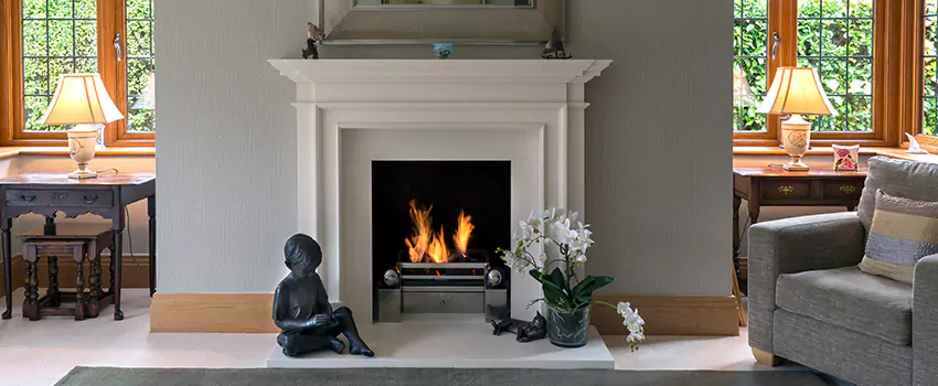 Astria Open-Hearth Wood Fireplaces Services in Crystal, MN