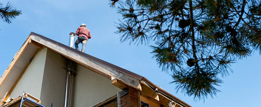 Birds Removal Contractors from Chimney in Crystal, MN